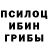Псилоцибиновые грибы Magic Shrooms Tom Cherson