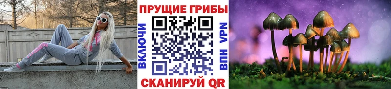 Псилоцибиновые грибы Magic Shrooms  это формула  Луховицы  blacksprut как зайти 